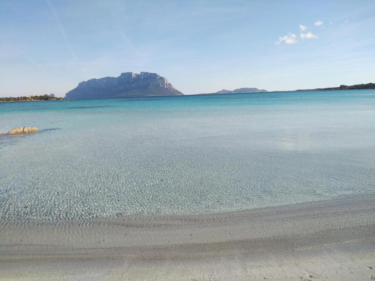 Aria Di Vacanza - Diamante Murta Maria